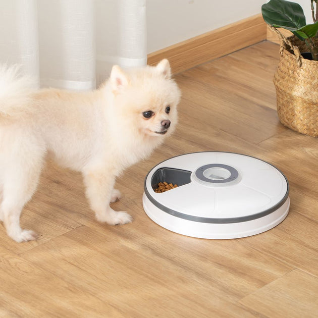 Automatic Pet Feeder w/ Digital Timer Six-Meal Food Dispenser Trays White