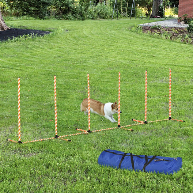 Dog Agility Weave Poles Training Obstacle Course Set Slalom Equipment w/ Whistle