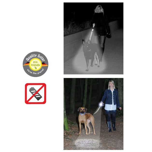 DNO Gor Pets DOG-e-Lite 2.5cm x 180cm Black Lite/Black Leash